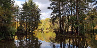 Forest of Dean Retreat